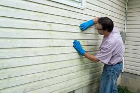 Best Siding Painting and Refinishing  in Paramount Long Meadow, MD